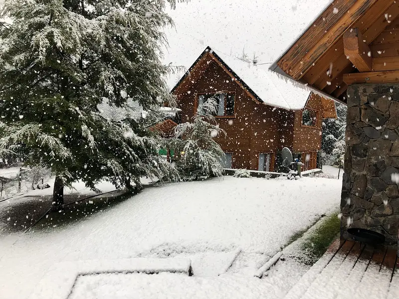 Árbol nevado junto a las cabañas